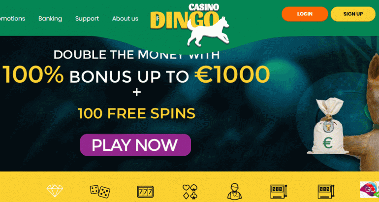 Dingocasino bonus code no deposit free money