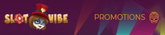 SlotVibe casino no deposit bonus code