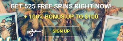 surfcasino 20 no deposit free spins bonus code